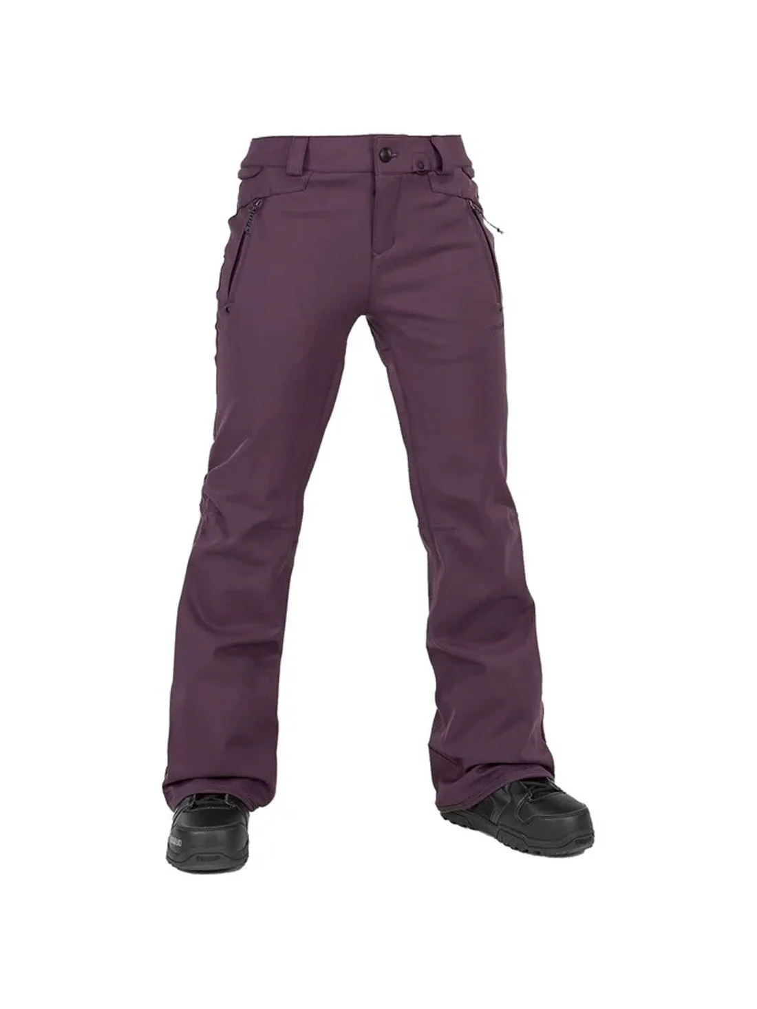 2024 Volcom Species Pant